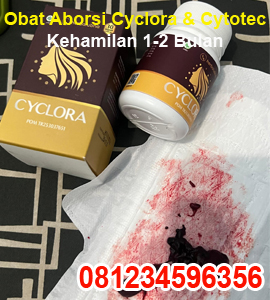 obat-penggugur-kandungan-cyclora-dan-cytotec-400-mg-untuk-kehamilan-1-2-3-4-minggu.jpg