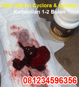 jual-obat-aborsi-cyclora-dan-cytotec-400-mg-cara-menggugurkan-kandungan-1-2-3-4-minggu.jpg