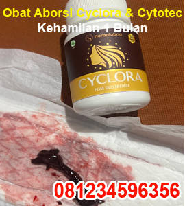 jual-obat-aborsi-cyclora-dan-cytotec-misoprostol-1-2-3-4-5-6-7-bulan.jpg