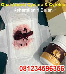 cara-menggugurkan-kandungan-dgn-obat-aborsi-cyclora-dan-cytotec-400-mg-untuk-kehamilan-5-6-7-8-m.jpg