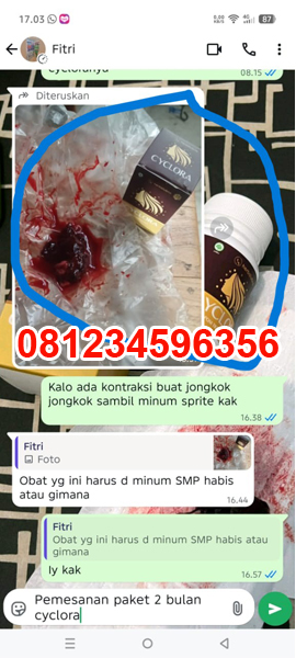 obat-penggugur-kandungan-cyclora-dan-cytotec-400-mg-untuk-kehamilan-5-6-7-8-minggu-2-bulan.jpg